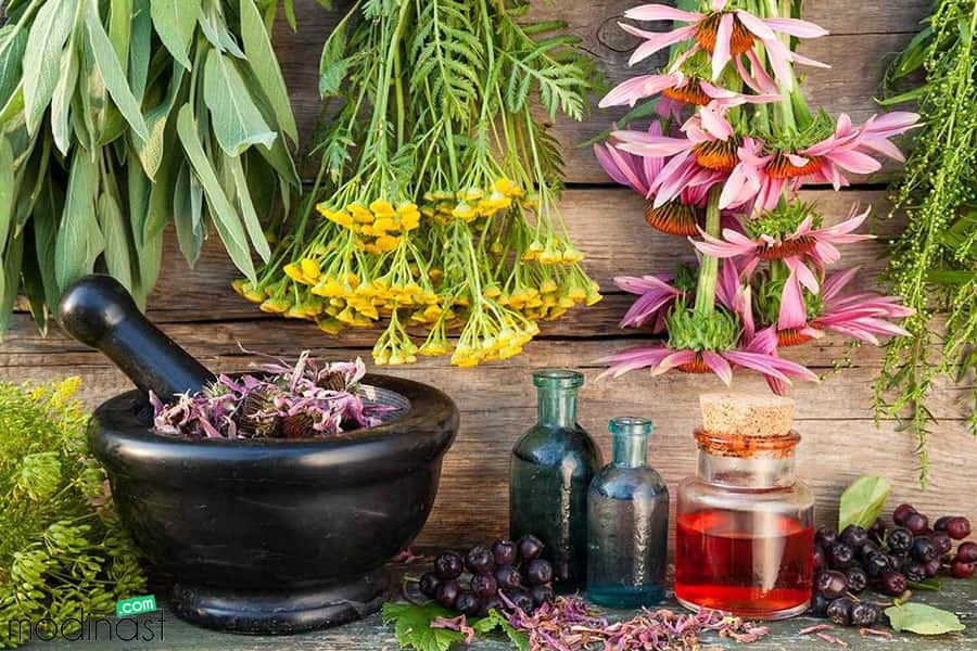 ترکیب‌های انرژی‌زا برای رفع ضعف کم‌خونی