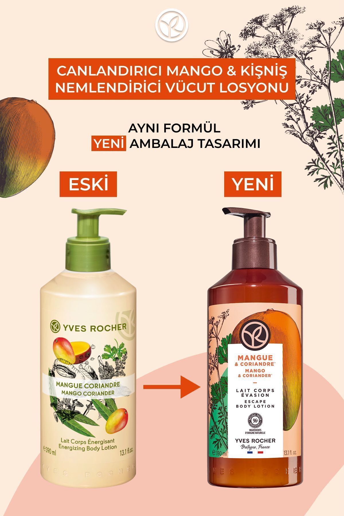 لوسیون مرطوب کننده بدن گشنیز و انبه ایوروشه حجم 390 ml